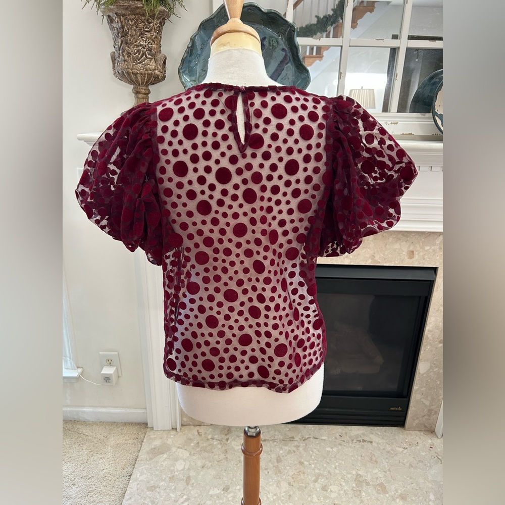 Haute Monde Burgundy Puff Sleeve Sheer Top - Picture 6 of 8